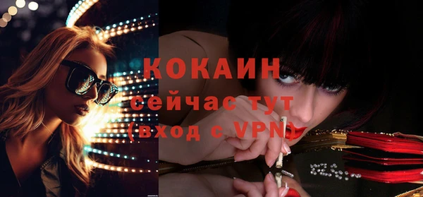 стаф Дмитров