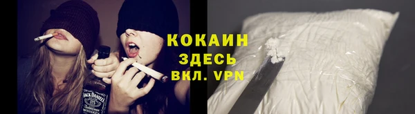 a pvp Гусев