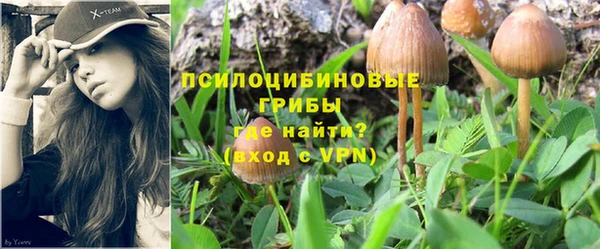 дмт Гусиноозёрск