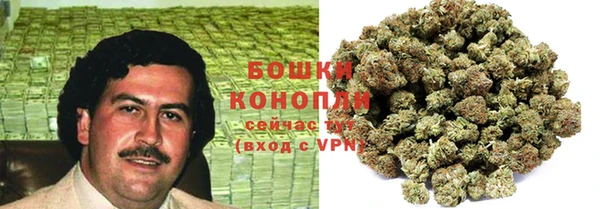 стаф Дмитров