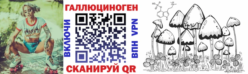 Купить закладки  Прохладный  Галлюциногенные грибы Psilocybine cubensis 